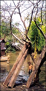 Child playing in flood water